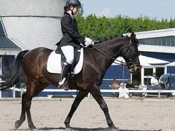 img-99891-629